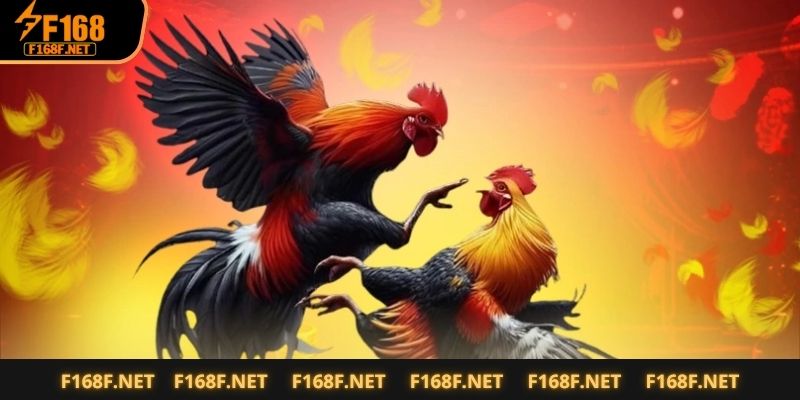 Đá Gà Cựa Sắt – Màn So Găng Nảy Lửa Không Thể Bỏ Lỡ Phác thảo đôi nét về đá gà cựa sắt