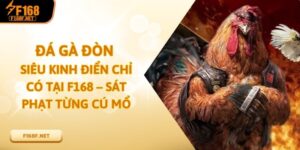 Đá Gà Đòn Siêu Kinh Điển Chỉ Có Tại F168 – Sát Phạt Từng Cú Mổ Đá Gà Đòn Siêu Kinh Điển Chỉ Có Tại F168 – Sát Phạt Từng Cú Mổ